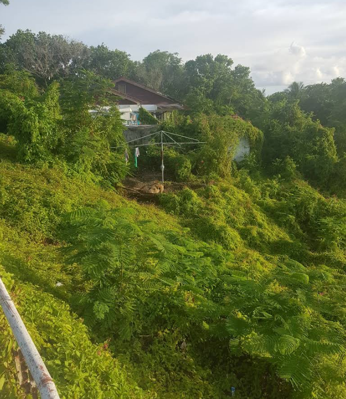 Possible Filming Locations